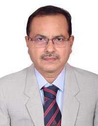 Prof. Anup Kumar Panda
